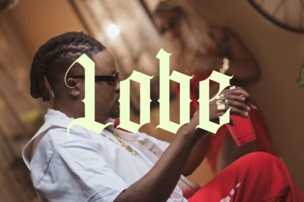 T Sean Lobe 768x551 1