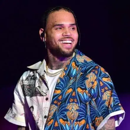 Chris Brown Under The Influence Mp3 Image 441x440.jpg 2