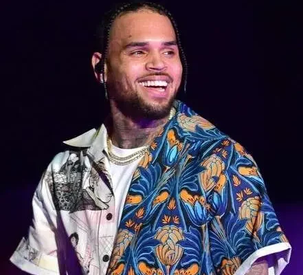 Chris Brown Under The Influence Mp3 Image 441x440.jpg 3