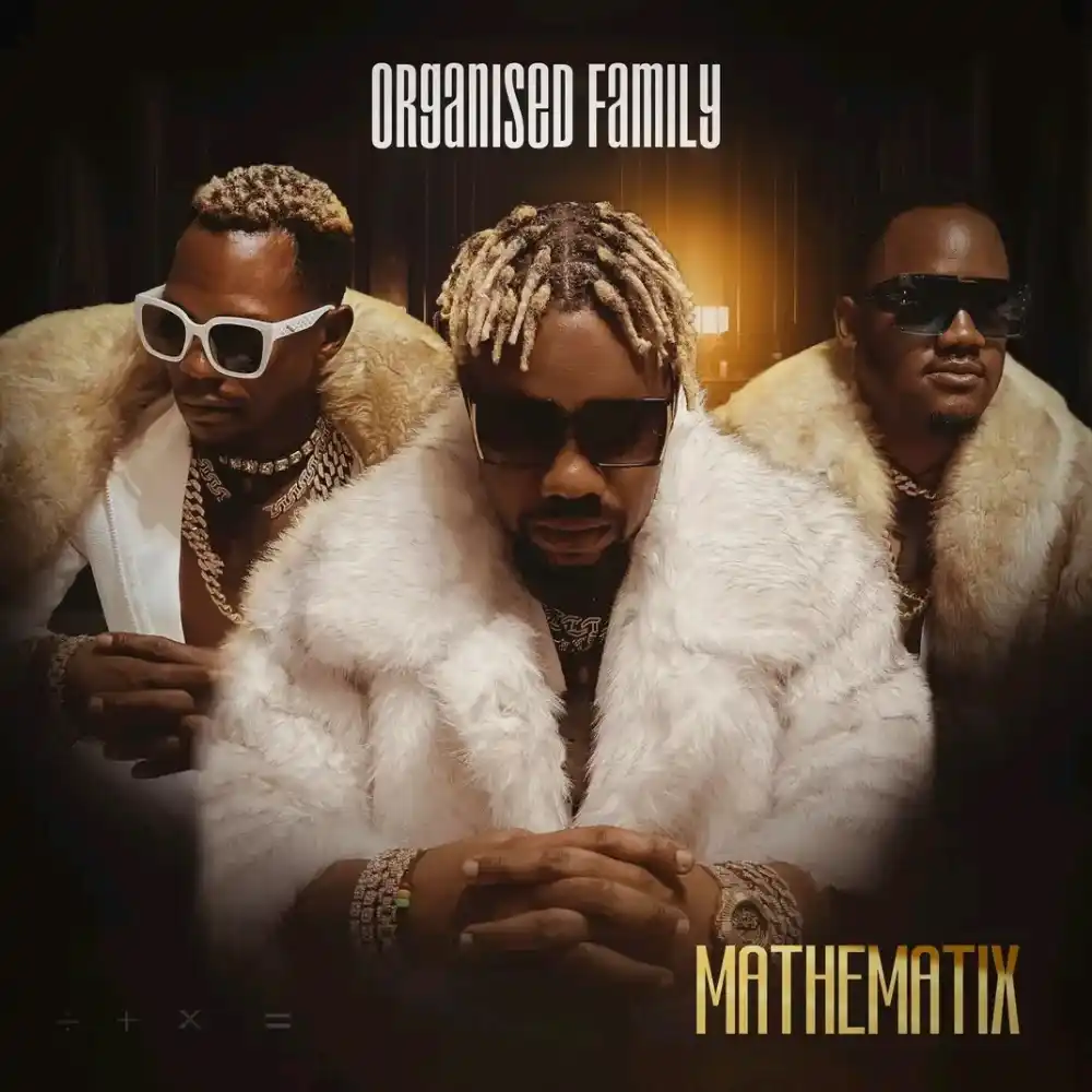 Organised Family Mathematix Album 1 1