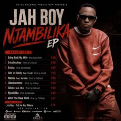Jahboy - Bring Back My Wife